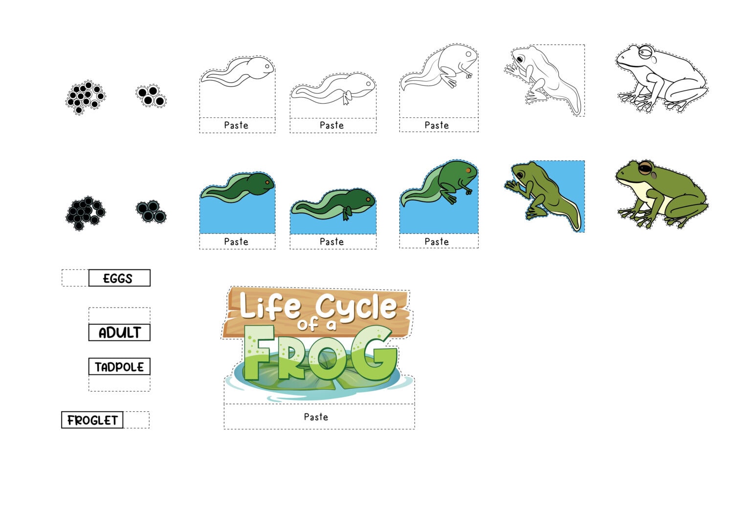 Life Cycle of a Frog 3D Cut Out Worksheets - 24hourfamily.com