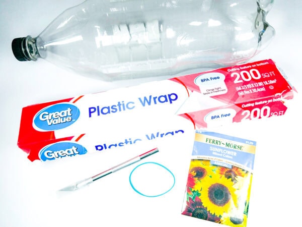 Plastic bottle, plastic wrap, sunflower seeds, rubber band, and craft knife displayed for DIY project setup