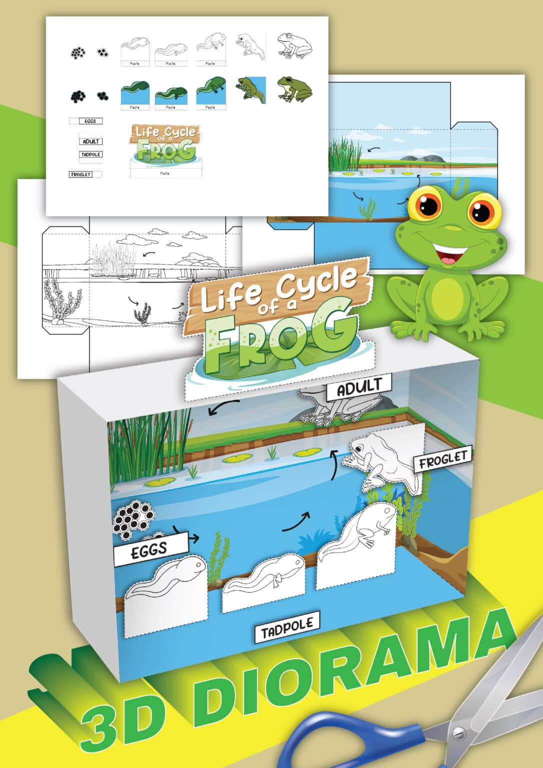 Life Cycle of a Frog 3D Cut Out Worksheets