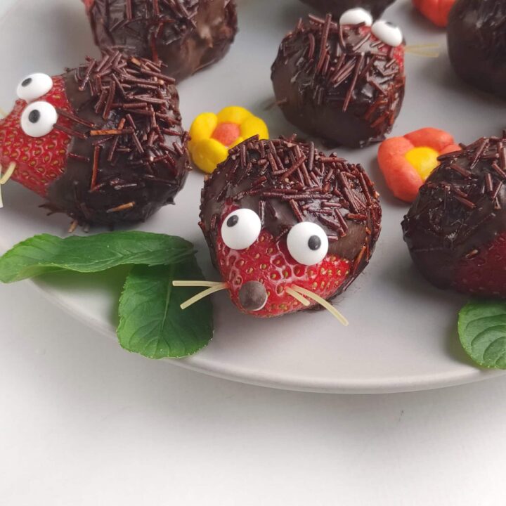chocolate dipped strawberry hedgehogs