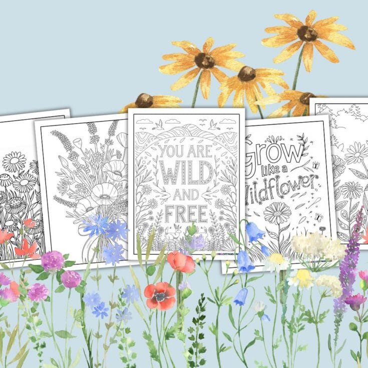 Image for Wildflowers Coloring Pages