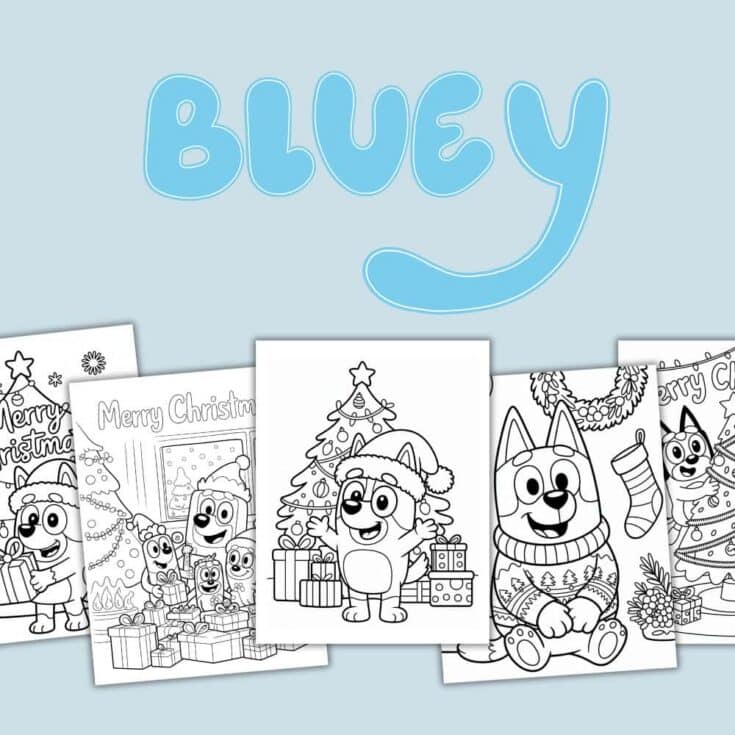 bluey christmas coloring sheets