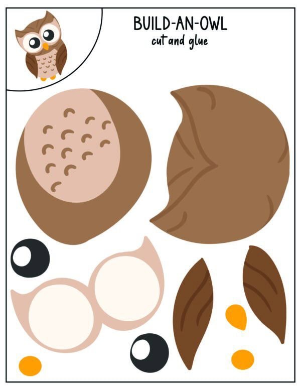 Build-an-owl cut and paste pieces.