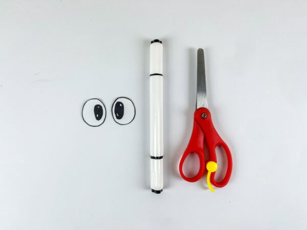 Paper eyes, marker, and scissors for fish craft