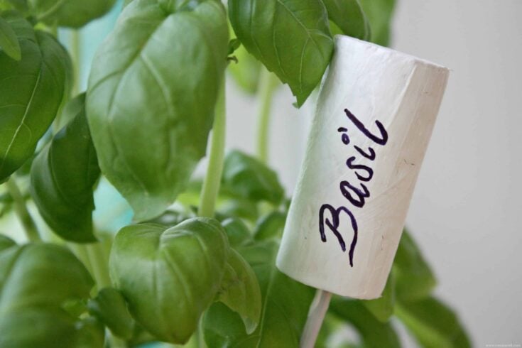 Image for DIY Cork Marker for Herbs and Veggies