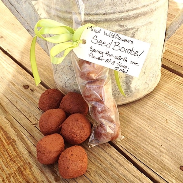 Image for Wildflower Seed Balls