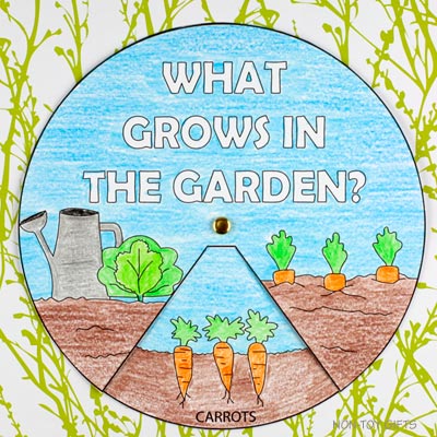 Image for Garden Spinner Craft