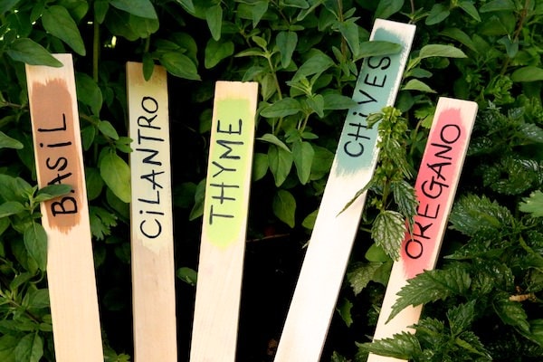 Image for Easy Homemade Paint Stick Garden Markers