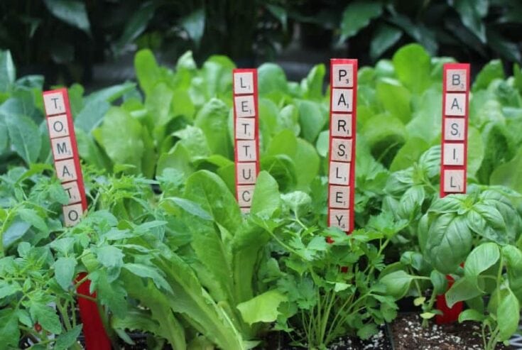Image for Letter Tile Garden Markers