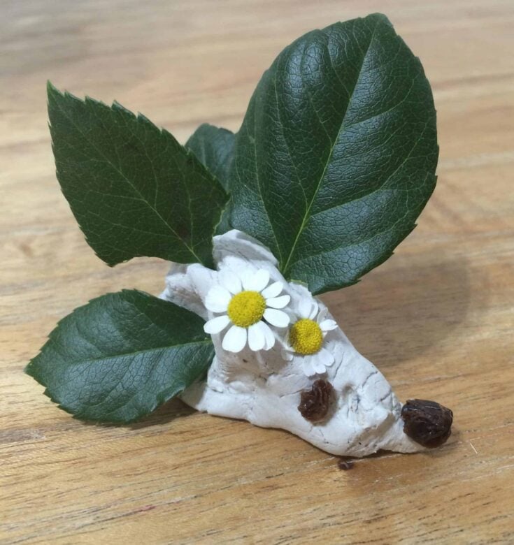 Image for A Simple Hedgehog Craft