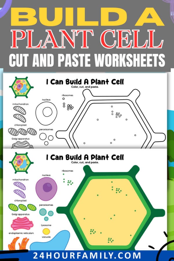 Build a plant cell cut and paste worksheets cover with black and white and colored examples