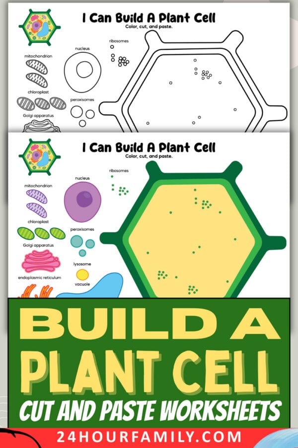 Build a plant cell worksheets preview with title banner