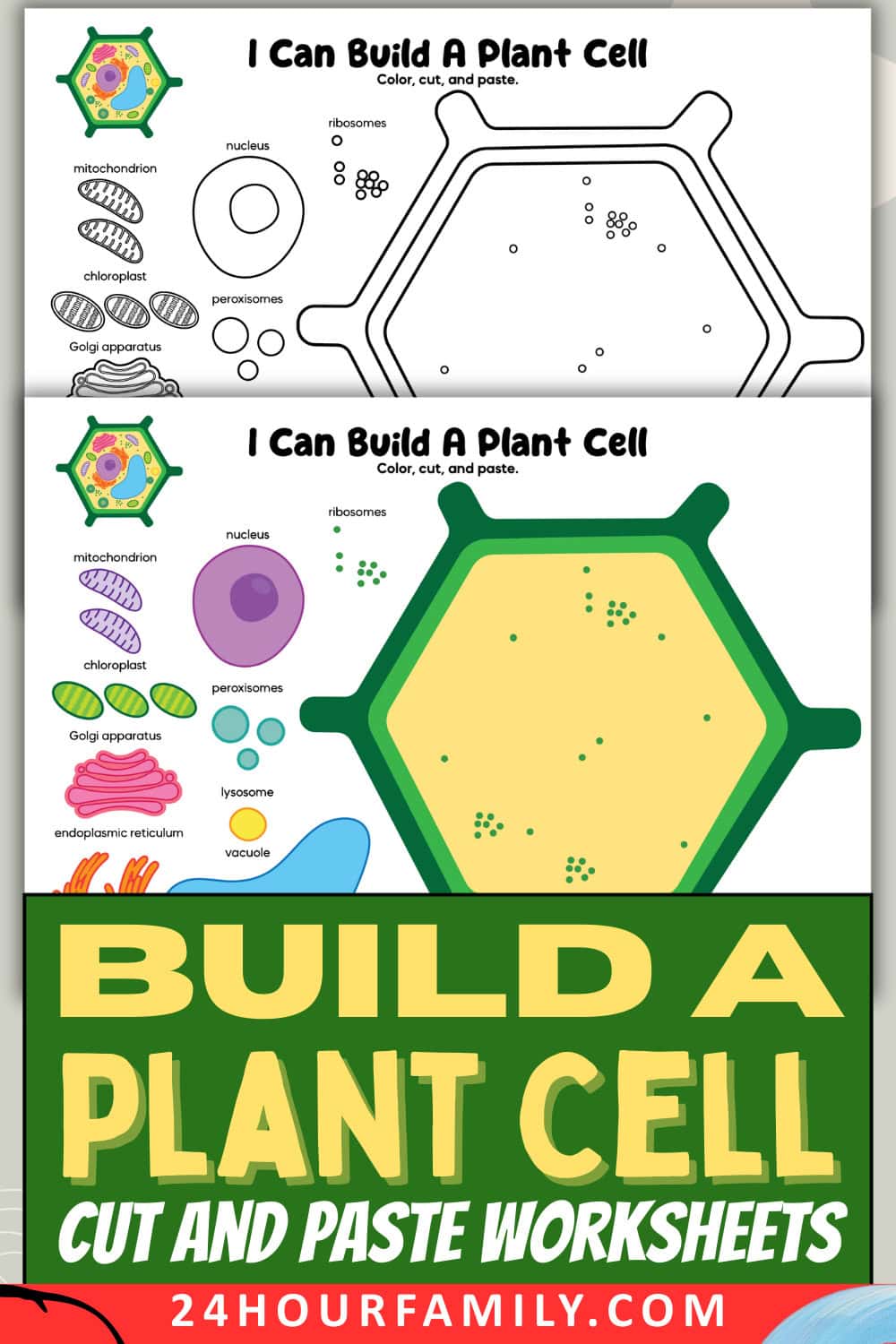 Build a Plant Cell Cut and Paste Worksheets
