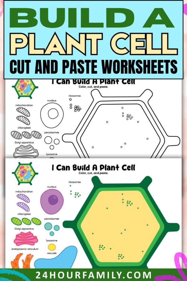 Build a plant cell worksheet Pinterest pin design