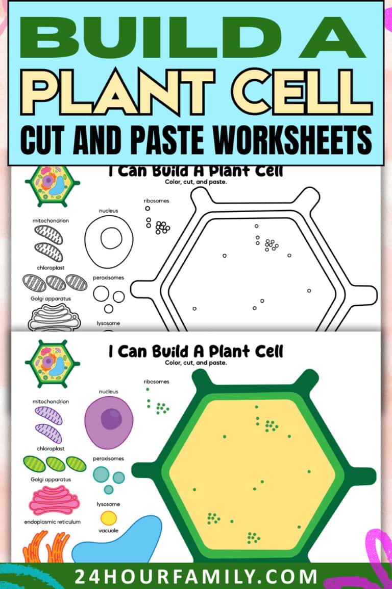 Build a Plant Cell Cut and Paste Worksheets » 24hourfamily.com