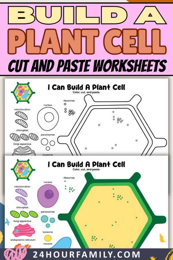 Build a plant cell worksheets purple title pin