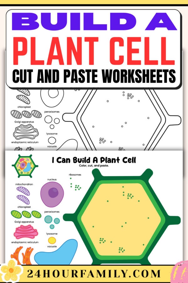 Build a plant cell worksheets bright title pin
