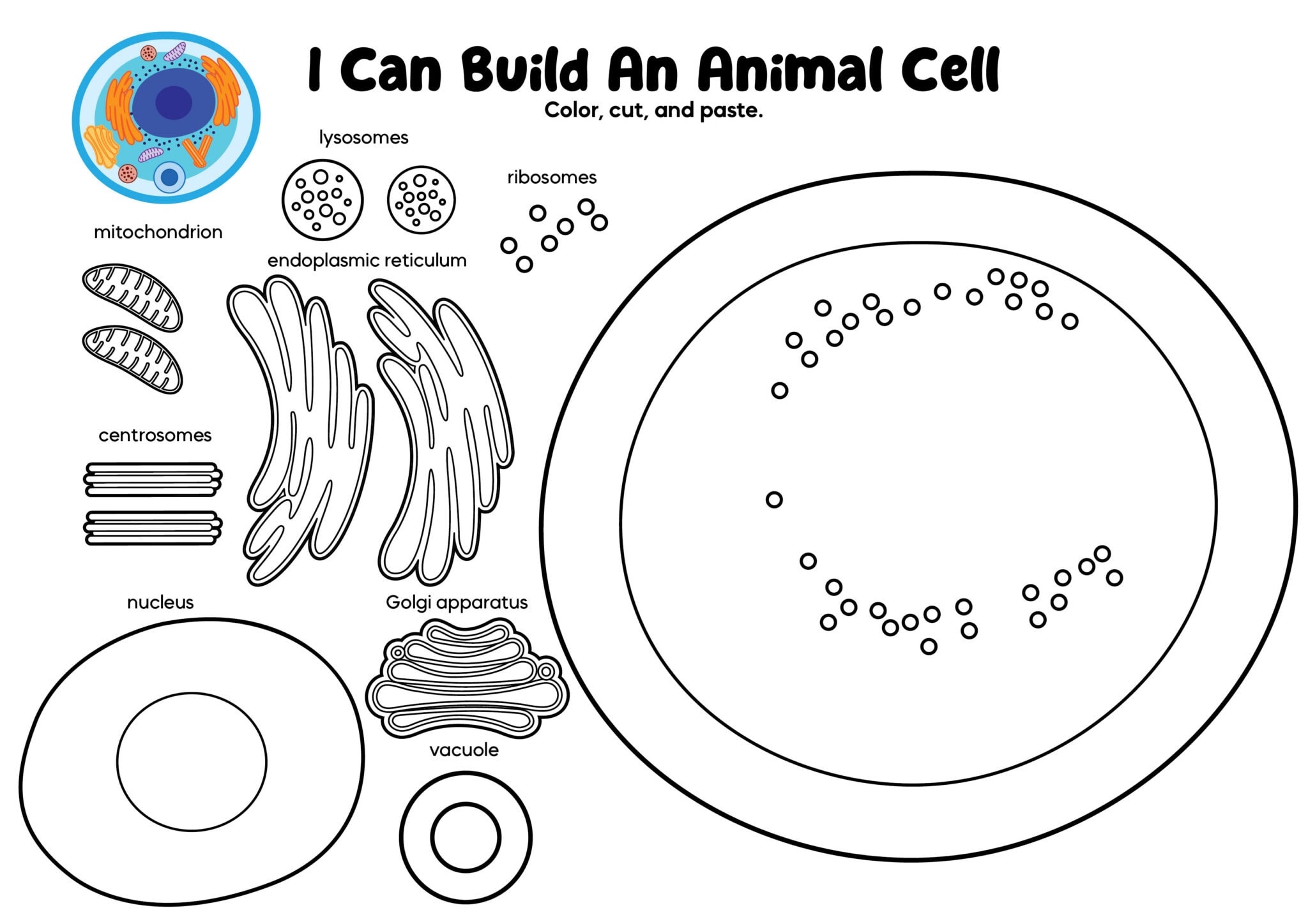 Build an Animal Cell Cut and Paste Worksheets » 24hourfamily.com