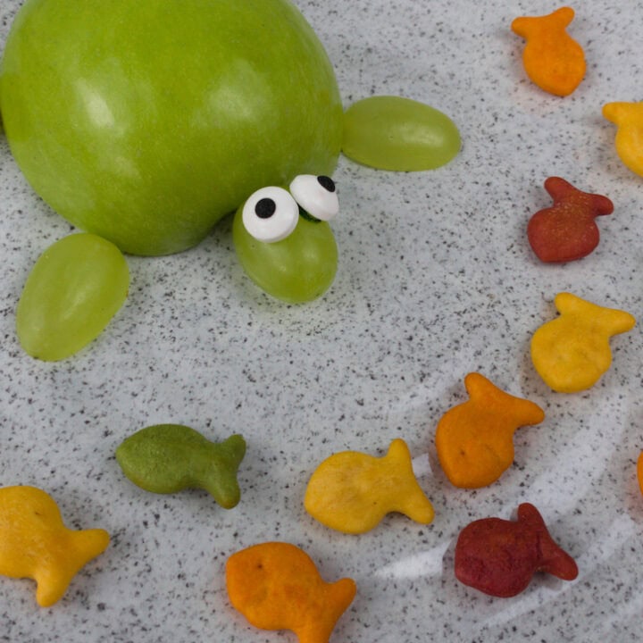 apple turtle sea snack