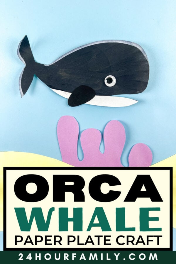 Orca whale paper plate craft display