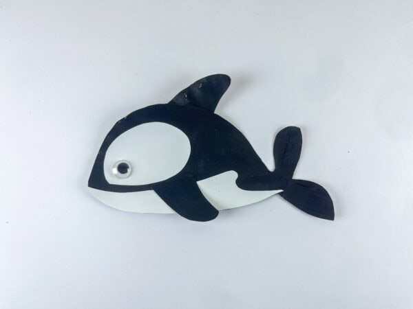 Completed orca whale paper plate craft on white background.
