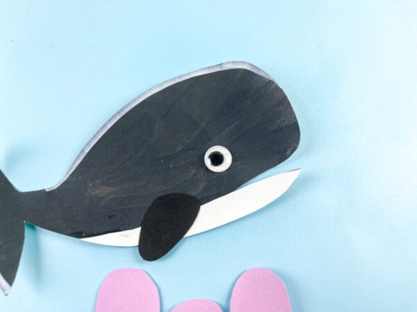 Close up of orca whale craft