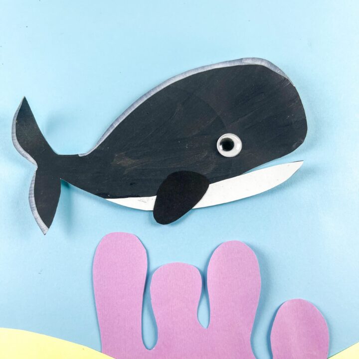 Orca Whale Paper Plate Craft