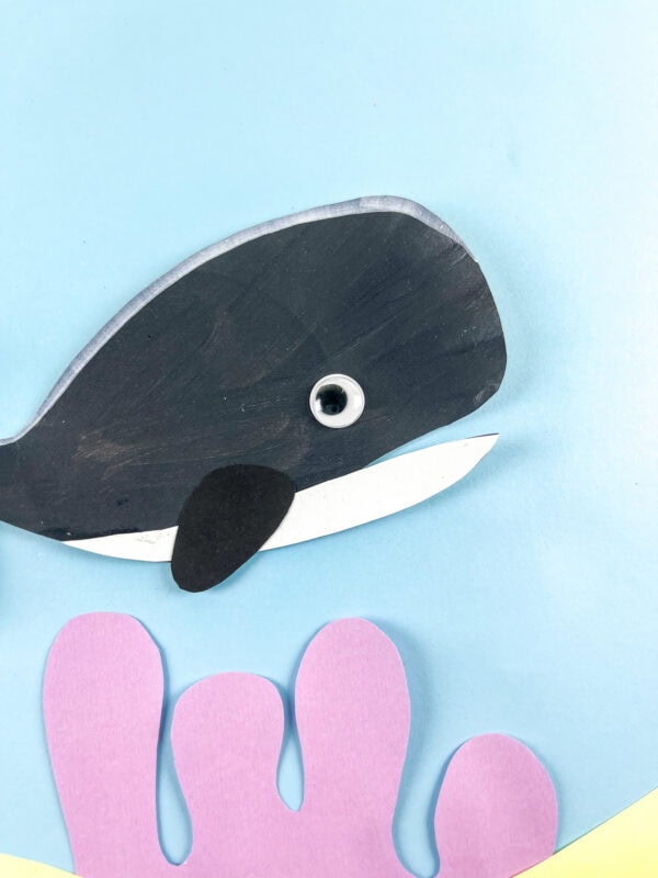 Close up of whale craft eye and fin