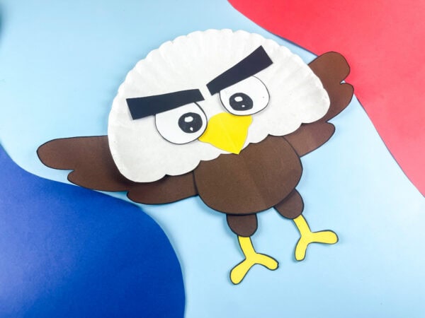 Angled view of bald eagle craft