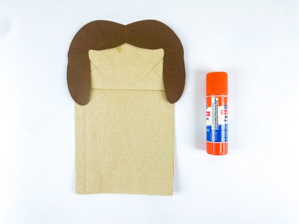 Hair attached to paper bag