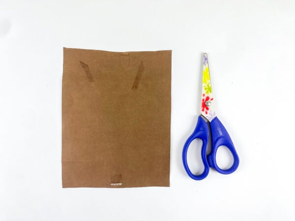 Brown paper bag and scissors