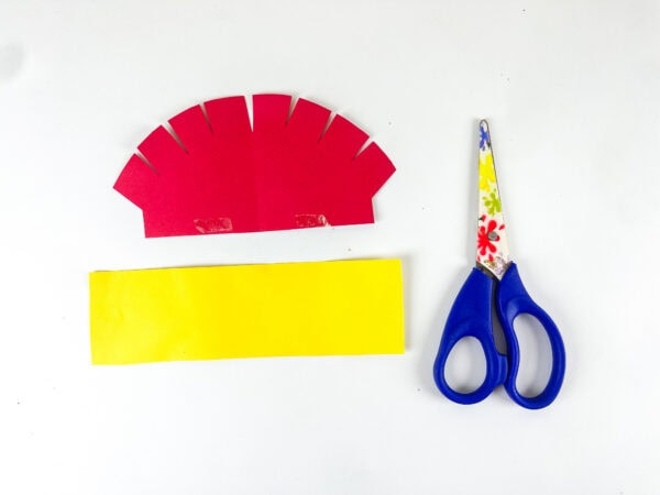 Red crest and yellow band craft pieces