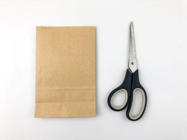 A plain brown paper bag next to scissors.