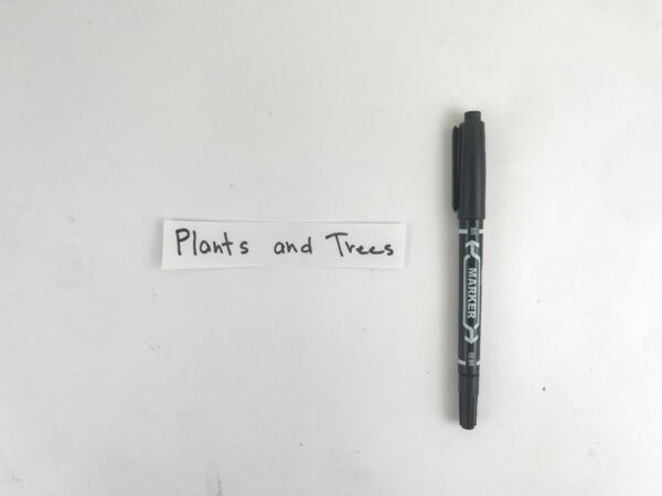 A small white strip of paper with handwritten text reading "Plants and Trees" next to a black marker.