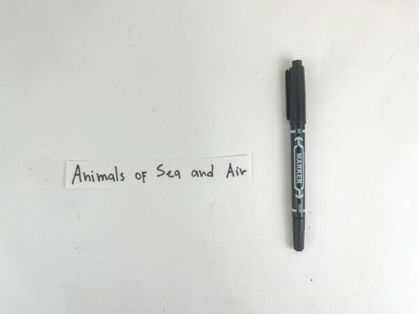 A white paper strip with handwritten text reading "Animals of Sea and Air" next to a black marker.