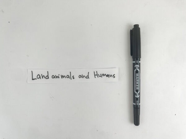 A handwritten paper label reading "Land animals and Humans" next to a black marker on a white surface.