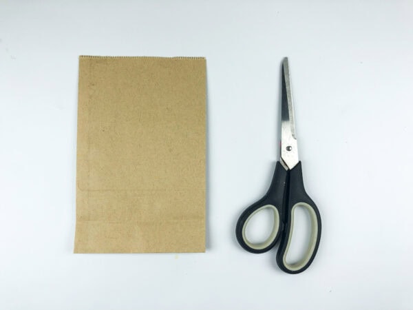 Paper bag and scissors for craft