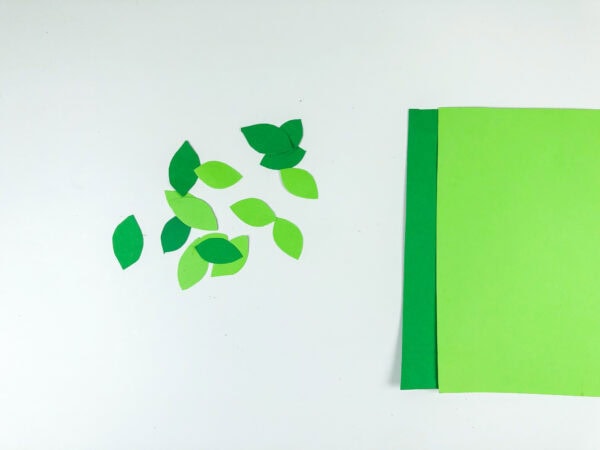 Green paper leaves cut from two shades