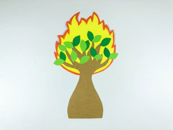 Green leaves attached to the burning bush