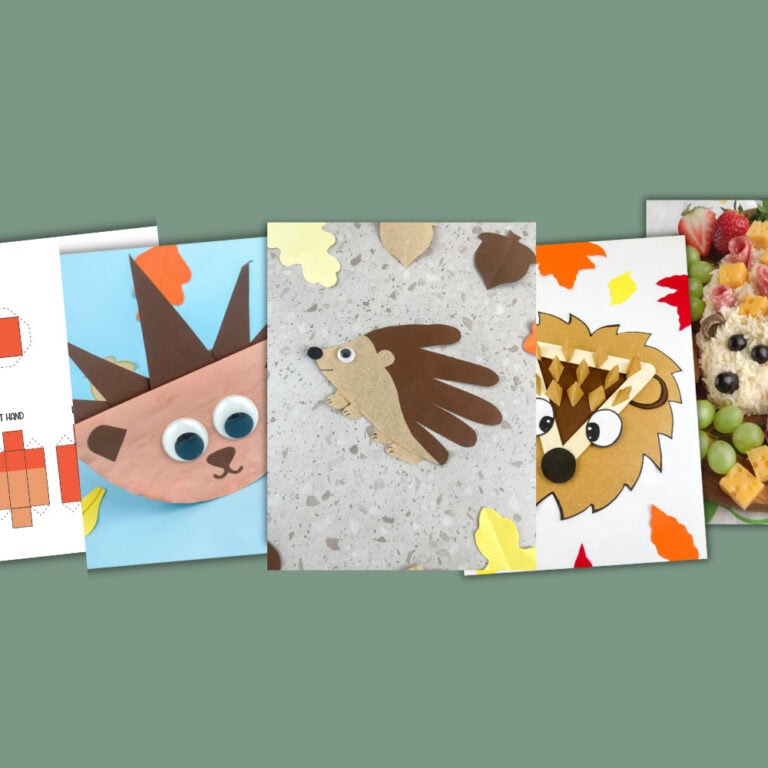 18+ Hedgehog Crafts, Snacks, And Activities For Kids